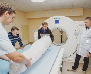 Мумия из Эрмитажа прошла «обследование» на томографе