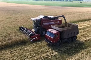 Урожай 2017. Зачем помогать сельскому хозяйству, если все и так работают прибыльно?