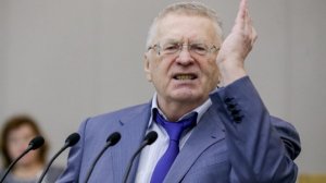 Захарова ответила Жириновскому на предложение о смене курса МИД