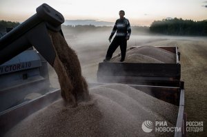 Россия — зарождающаяся сверхдержава в области мировых продовольственных ресурсов: с июля 2016 года по июнь 2017 года страна экспортировала 27,8 миллиона тонн пшеницы, что больше, чем весь Евросоюз