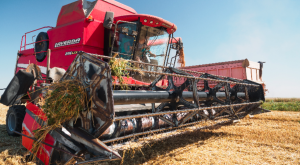 [«Весь покрытый «зеленью», абсолютно весь»] «Запад допустил ошибку с антироссийскими санкциями»: они произвели обратный эффект в российской экономике и это признали даже на Западе