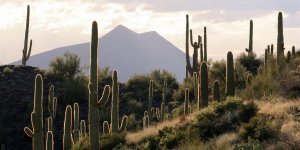 Истребитель F16 разбился в Аризоне. Пилот погиб