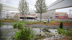 В парке «Зарядье» уничтожено около 10 тыс. растений