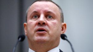 Недревесные лесные ресурсы: россиянам хотят разрешить собирать валежник