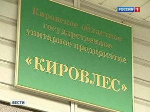 Бессмысленное решение: эксперт пояснила, как влияет мнение КМСЕ на ЕСПЧ