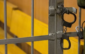 Дочь бывшего вратаря сборной СССР по хоккею задержана за убийство отца