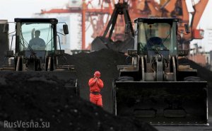 Стала известна общая стоимость полезных ископаемых КНДР