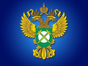 ФАС возбудила дело о крупнейшем картеле в сфере дорожного строительства