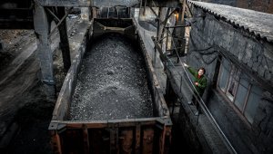 В Польше признали, что покупали уголь у Донбасса ("Мы покупаем антрацит в США и африканских странах, а Польша — с наших оккупированных территорий")