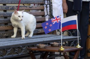 Новая Зеландия закроет визовый центр в России