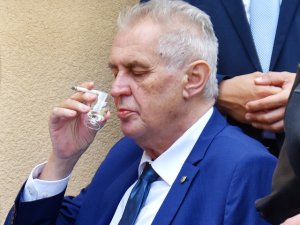 Президент Чехии по-прежнему пьет, вопреки советам врачей