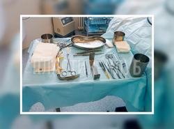 Ученые Базеля вырастили хрящ для восстановления носа