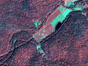 Возможности и фейлы ИИ, как мы его сегодня знаем