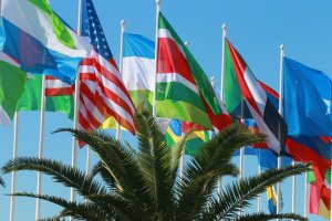 В Сочи открылся Всемирный фестиваль молодежи и студентов