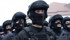 В 2018 году у МВД и Росгвардии может появиться щит, бьющий током