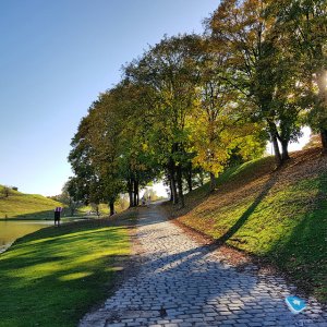 Качество сотовой связи в Мюнхене: немецкий путь