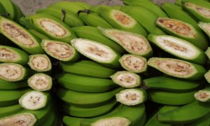 Миру грозит банановая катастрофа