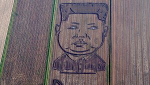 На соевом поле в Италии появился двухсотметровый портрет Ким Чен Ына