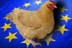 Россия ограничила ввоз мяса и яиц из нескольких стран Евросоюза
