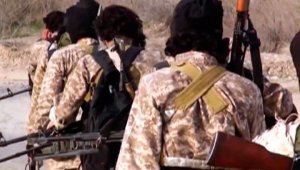 Эксперт: главари ИГ бежали из Сирии в Латинскую Америку