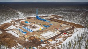 [«Мы за ценой не постоим?»]  Над законом. Как "Газпром" незаконно захватывает земли и леса: «Finis sanctificat media»*