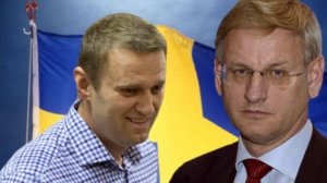 Навальный признал факт встречи с антироссийским шведским политиком