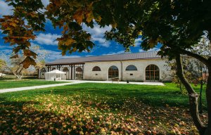 Зачем московский меценат поднял из руин усадьбу в липецкой глуши