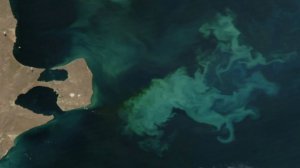 У берегов Аргентины пропала подводная лодка  San Juan