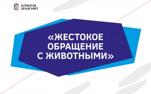 В Госдуме рассматривается ужесточение наказания по статье «Жестокое обращение с животными»