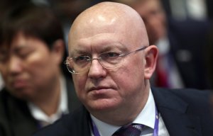 Россия в СБ ООН потребовала пересмотра трансграничных гуманитарных операций в Сирии