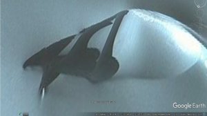 Уральский исследователь нашел во льдах Антарктиды звездолет из фильма «Чужой»