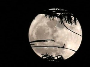 Земляне публикуют фото и видео последней в этом году "суперлуны"