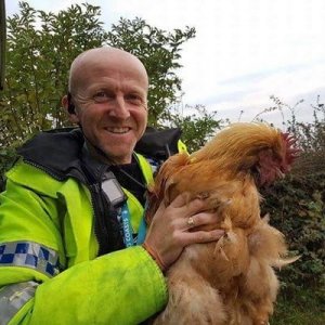 Британский полицейский удержал руками падающий с моста фургон