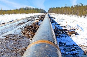 Снос дач у газовой трубы: как правительство «исполняет» поручения президента