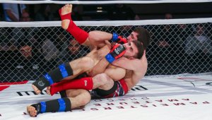 Сборная России выиграла все золотые медали на ЧЕ по ММА в Германии