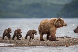 Такой ненависти к русским не было никогда...