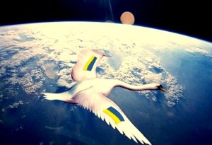 В Украине украли $8 млн, выделенных канадцами на создание спутника "Лыбидь"