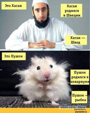 В Швеции насильники после надругательства подожгли половые органы 17-летней девушки