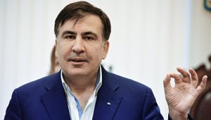 Нидерланды готовы выдать Саакашвили паспорт, если он направит запрос