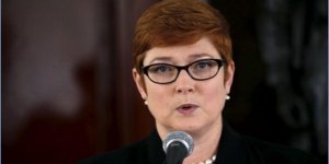 Минобороны Австралии заявило о прекращении воздушных ударов по Сирии и Ираку