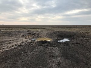 Экологи заявляют о незаконных военных испытаниях и обстрелах в Черноморском биосферном заповеднике