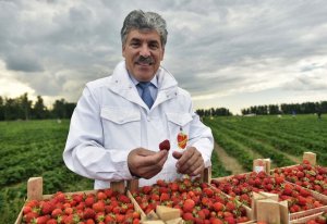 Грудинин. Разложим поциента с точки зрения марксизма-ленинизма