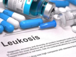 Ученые создали математическую модель метаболизма фармпрепарата