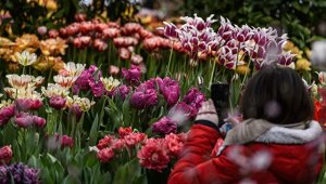 Instagram "Аптекарского огорода" разблокировали после обращения Роскомнадзора