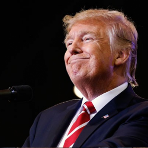 Трамп назвал себя гением (По словам американского лидера, всю жизнь одними из его главных качеств были психическая устойчивость и ум)