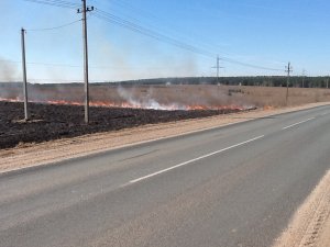 Правительство запретило выжигать траву и разводить костры вблизи дорог