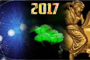 Топ-10 исследований российских ученых 2017 года по версии РНФ