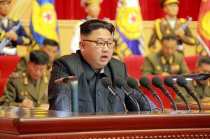 В США и Японии считают главной военной угрозой КНДР - опрос