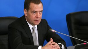 Медведев назвал спад рождаемости плюсом для "цифровой экономики"
