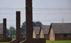 В  Польше осуждены  организаторы голой-арт  акции у нацистского концлагеря Аушвиц-Биркенау (Освенцим)